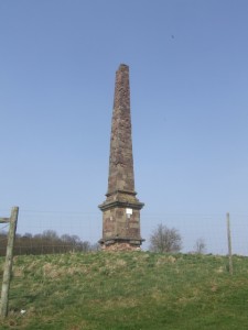 Hagley Monument