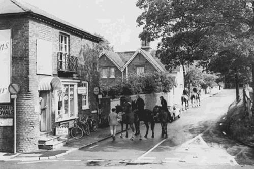 Hall Lane in the 1950s