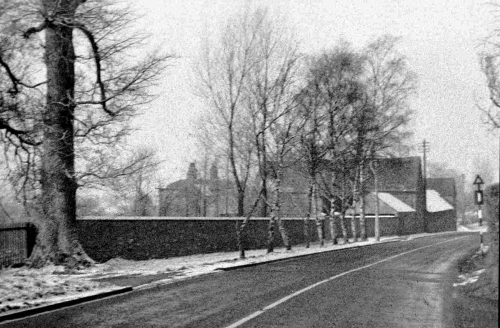 Park Rd in the 1950s